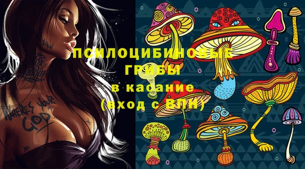 2c-b Алексин