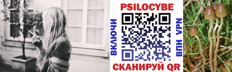kraken вход  Элиста  Псилоцибиновые грибы мухоморы 